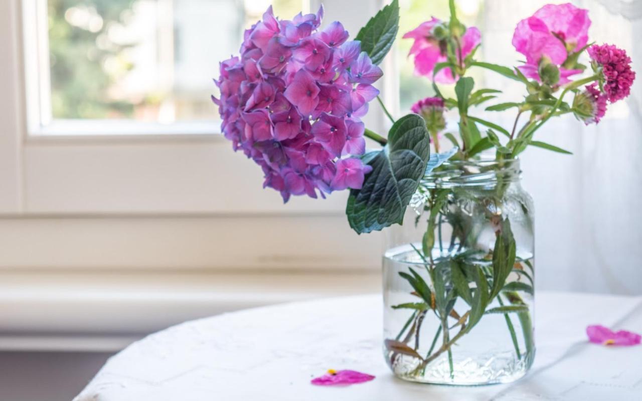 B&B Zenzero E Limone Riva del Garda Ngoại thất bức ảnh